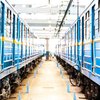 В Киеве подорожает проезд в метро: сколько будем платить