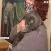 В музеї Кропивницького влаштували флешмоб "Весняний кіт"