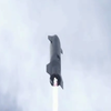 Прототип Starship вдало приземлився та вибухнув