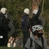 Невдалий жарт: у Брюсселі фальшивий фестиваль закінчився сутичками з поліцією