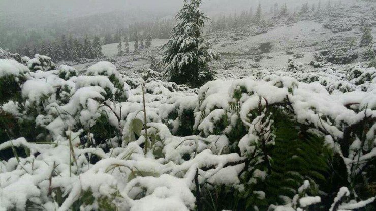 Там ввели третий уровень снеголавинной опасности/ фото: Delo.ua