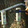 Особливий догляд: у Києві обстежують дерева за новітніми технологіями