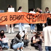 Мітинг у Киргизстані: люди обурені вбивством дівчини