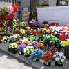 Заборона на продаж штучних квітів: як у Дніпрі борються з торгівлею?