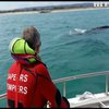 Тихоокеанський кит відвідав Середземне море
