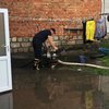 Наводнение на Буковине: глава ОГА рассказал подробности 