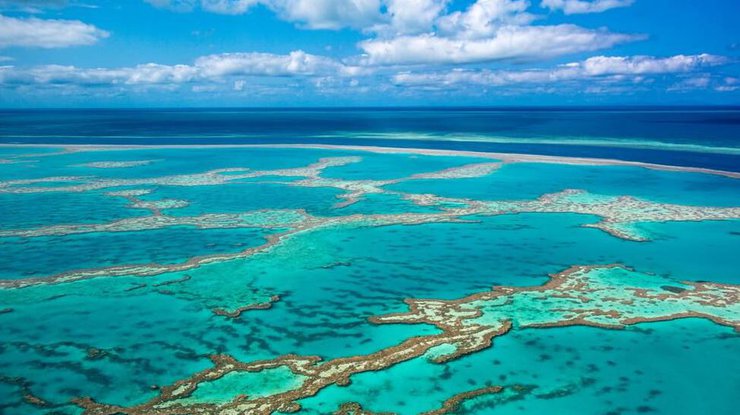 Большой барьерный риф в Австралии/ фото: zapovedniki-mira.com