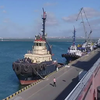В "Опозиційній платформі - За життя" розкритикували плани здачі в оренду українських портів