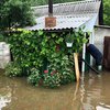 В Днепре из-за ливней затопило 90 домов