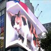 Велетенський тривимірний кіт дивує жителів Токіо (відео)
