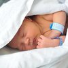 Младенец за 70 тысяч долларов: полиция разоблачила схему торговли новорожденными