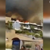 У Туреччині від лісових пожеж загинули вісім людей