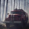Под Луганском вспыхнули масштабные лесные пожары (видео)