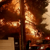 В Греции лесные пожары уничтожают все на своем пути: жуткое видео туристов 