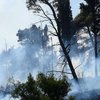 Европа горит: еще две страны охватили лесные пожары (фото) 