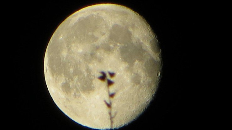 Ученые детально сфотографировали Луну/ фото: Pixabay