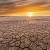 Самый "теплый" период: ученые шокировали заявлением о 2021 годе