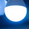Как светодиодные лампочки стали основным трендом рынка