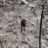 Два місяці тому російська авіація знищила маріупольський Драмтеатр: історії свідків трагедії