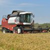 Україна через війну втратить 49% урожаю озимої пшениці - ООН