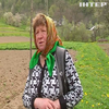 Жителі гірських районів Буковини безупинно працюють на городі, аби забезпечити Україну продовольством
