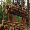 Складна зима: скільки буде коштувати обігрів оселі дровами?