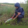 "Торкнувся касетного боєприпаса": на Дніпропетровщині загинув підліток