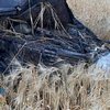 У Кіровоградській області в ДТП загинули три випускниці: за кермом був п'яний поліцейський