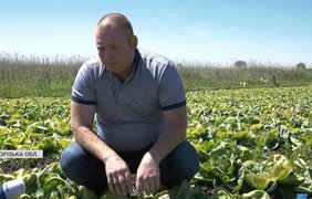 На Запоріжжі фермери рятують врожаї від заморозків