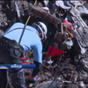 Експерти ідентифікували половину жертв авіакатастрофи у Альпах