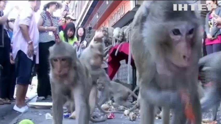 У Таїланді влаштували бенкет для тисяч мавп