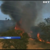 Пожары в Калифорнии уничтожили 250 домов