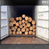 CБУ заблокувала контрабанду деревини на Київщині