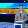 Українське зерно потіснило конкурентів на індійському ринку