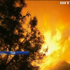 В США пожежа знищила 400 гектарів лісу