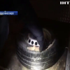 Украинец пытался вывезти 25 кг янтаря в Польшу