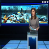 В Кременчуге требуют наказать виновных в перевозке мусора из Львова