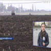 В Днепропетровской области фермер наживался на земле ветеранов АТО
