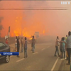 Пожары в Португалии забрали жизни 62 человек