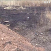 На Донбасі сапери обстежили 7 гектарів території