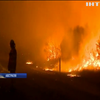 Лісові пожежі у Австралії наближаються до Сіднея