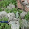 У Черкасах ветеранам АТО виділили землі на колишніх сміттєзвалищах