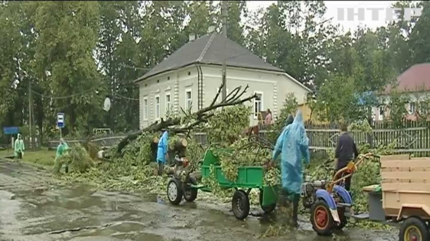 Негода в Україні: десятки сіл залишилися без електрики