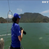 Міст між Гонконгом і Китаєм вбиватиме дельфінів