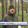 У Києві знищили гектар соснового лісу