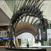 В Аргентині знайшли динозавра із рогами на шиї