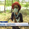 Школярка взялася рятувати зелені легені столиці Таїланду