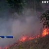 У Каліфорнії не можуть приборкати масштабні лісові пожежі