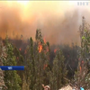 У Чилі лісові пожежі знищили десятки будинків