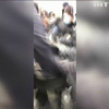  В урядовому кварталі "євробляхери" побилися з поліцією